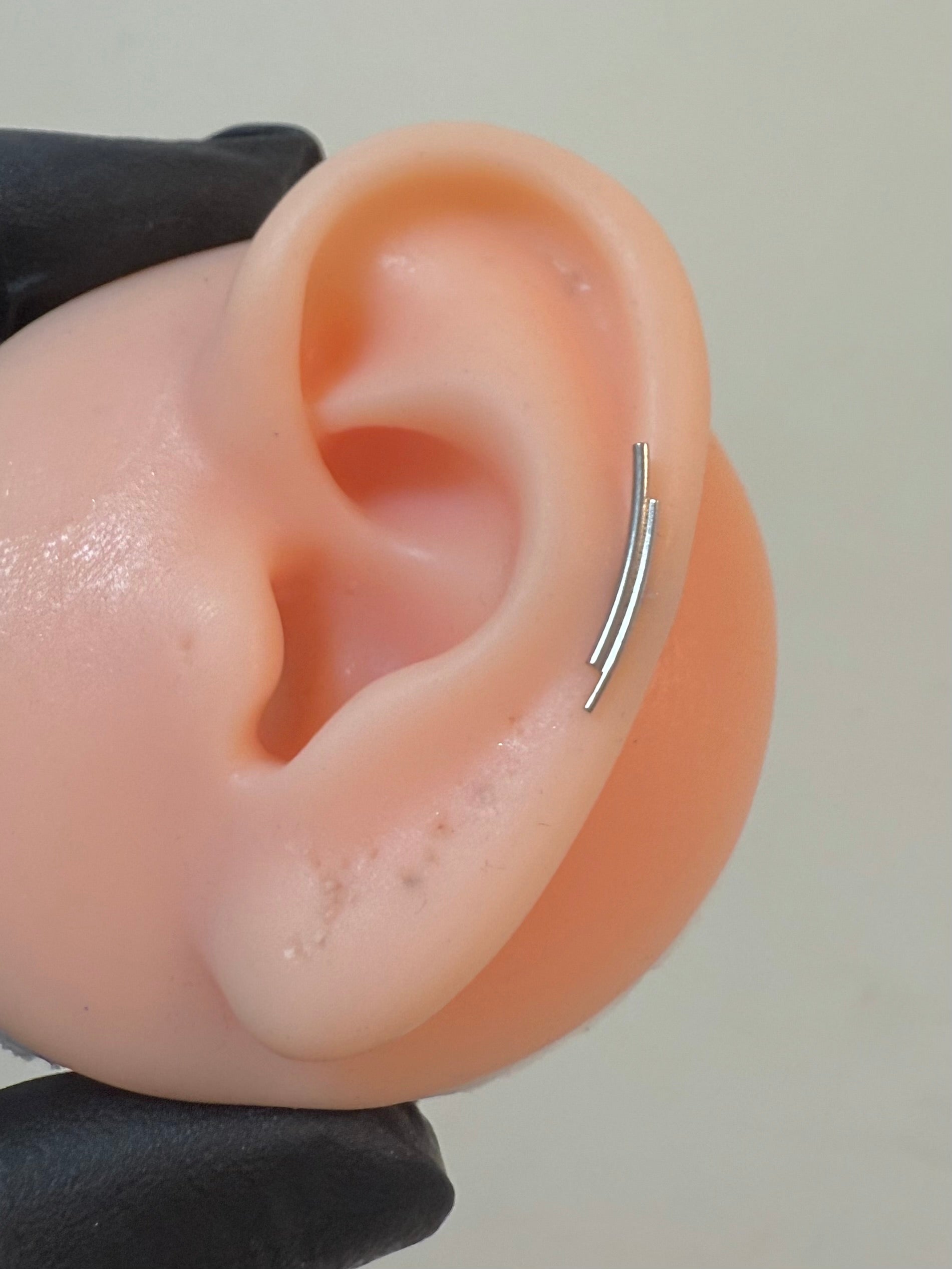 Titanium Earring 754