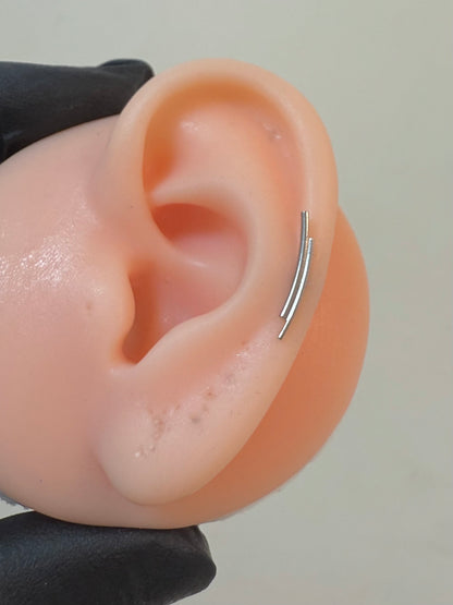 Titanium Earring 754