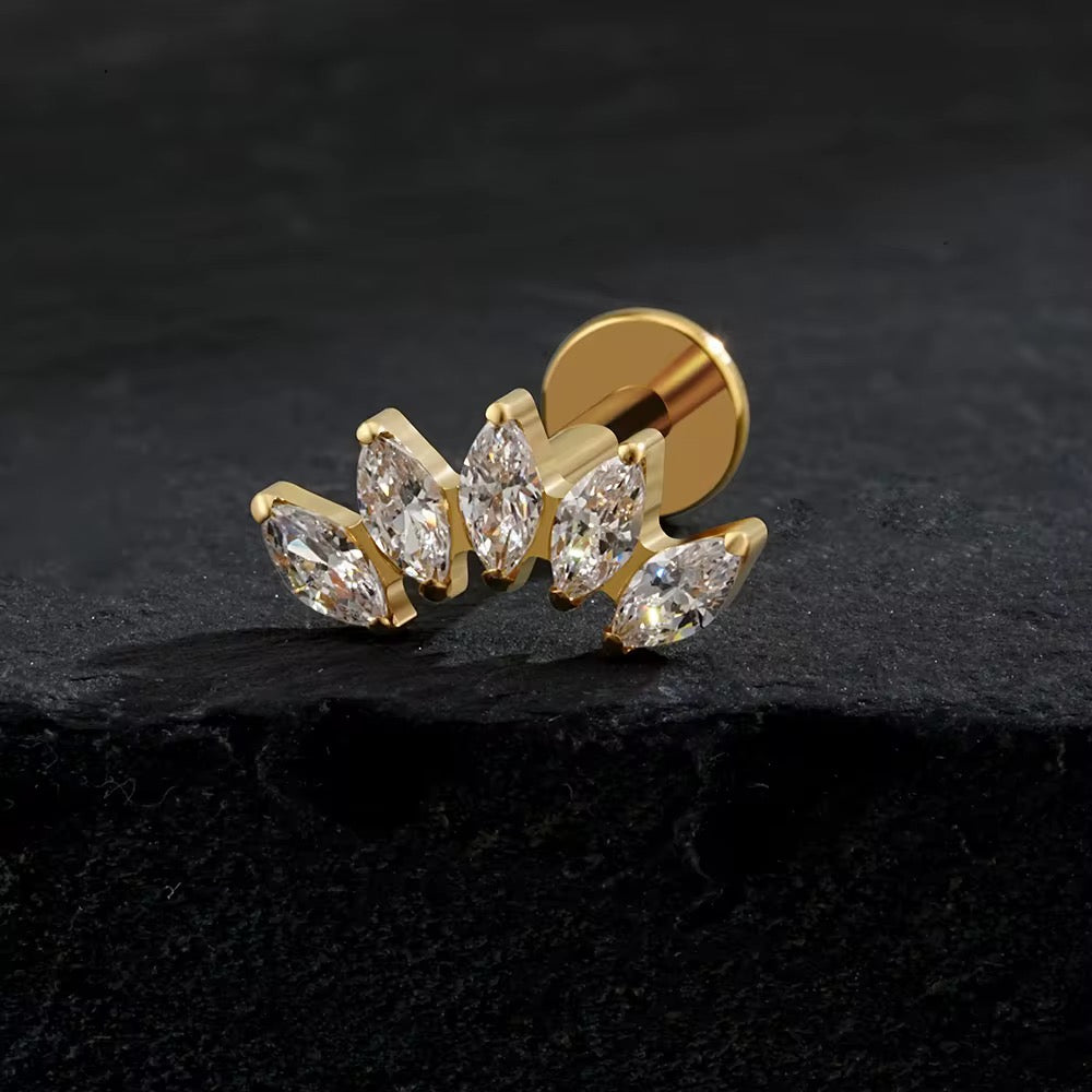 Titanium Earring 788