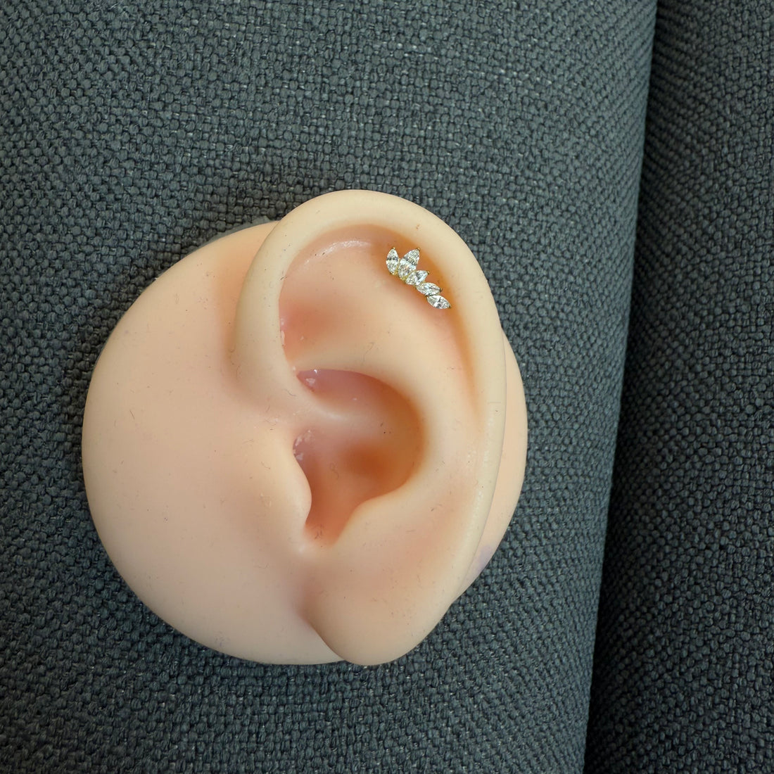 Titanium Earring 773