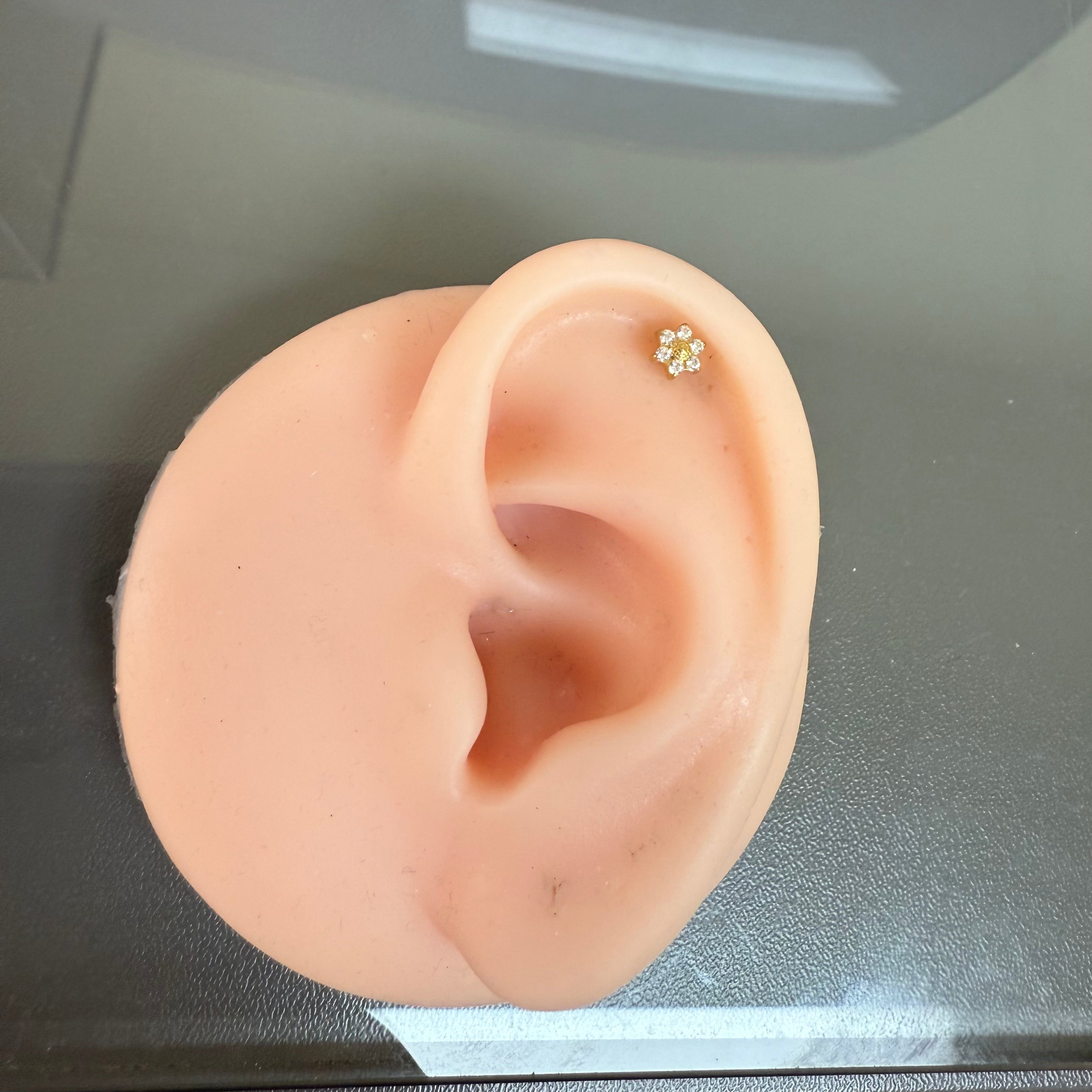 Titanium Earring 763