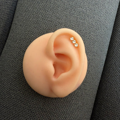 Titanium Earring 772