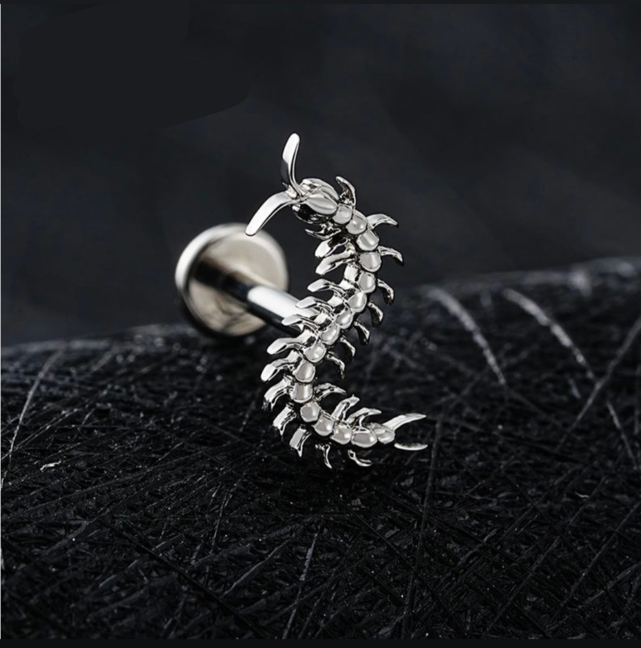 Titanium Earring 1112