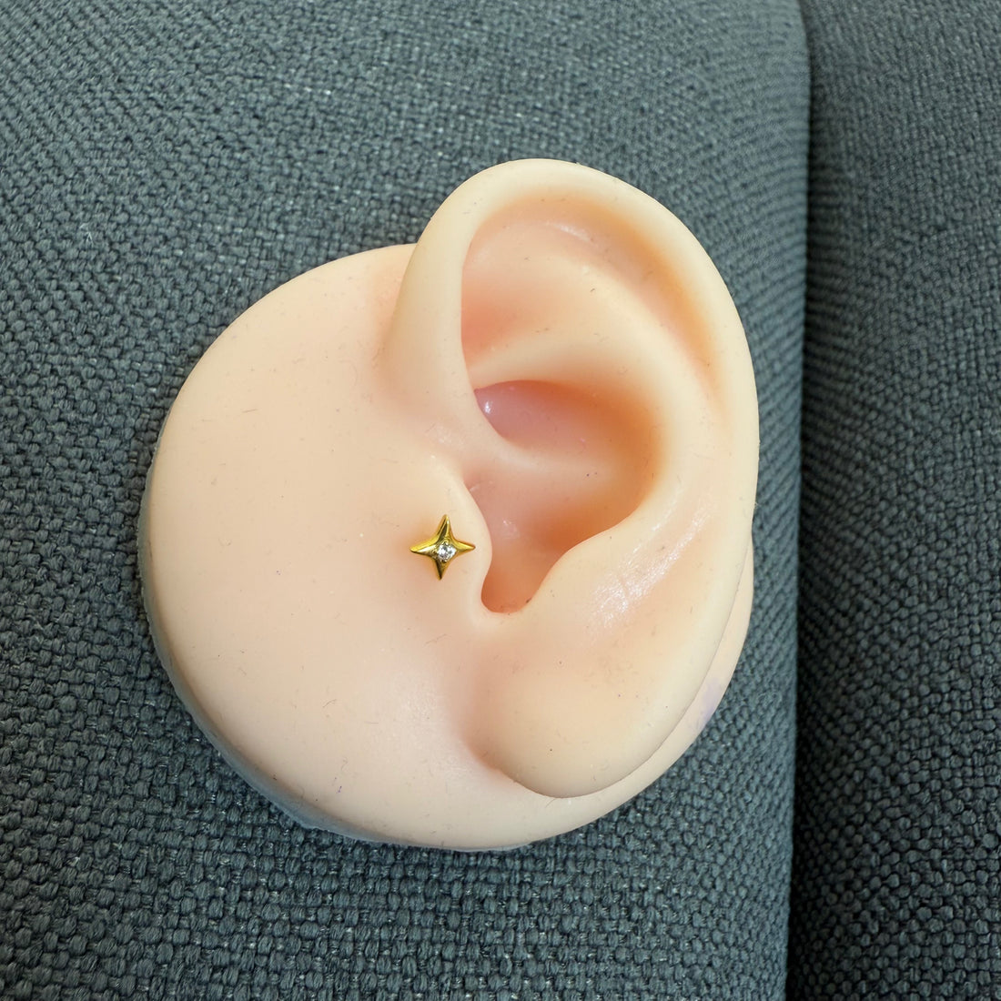 Titanium Earring 766