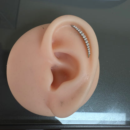 Titanium Earring 182