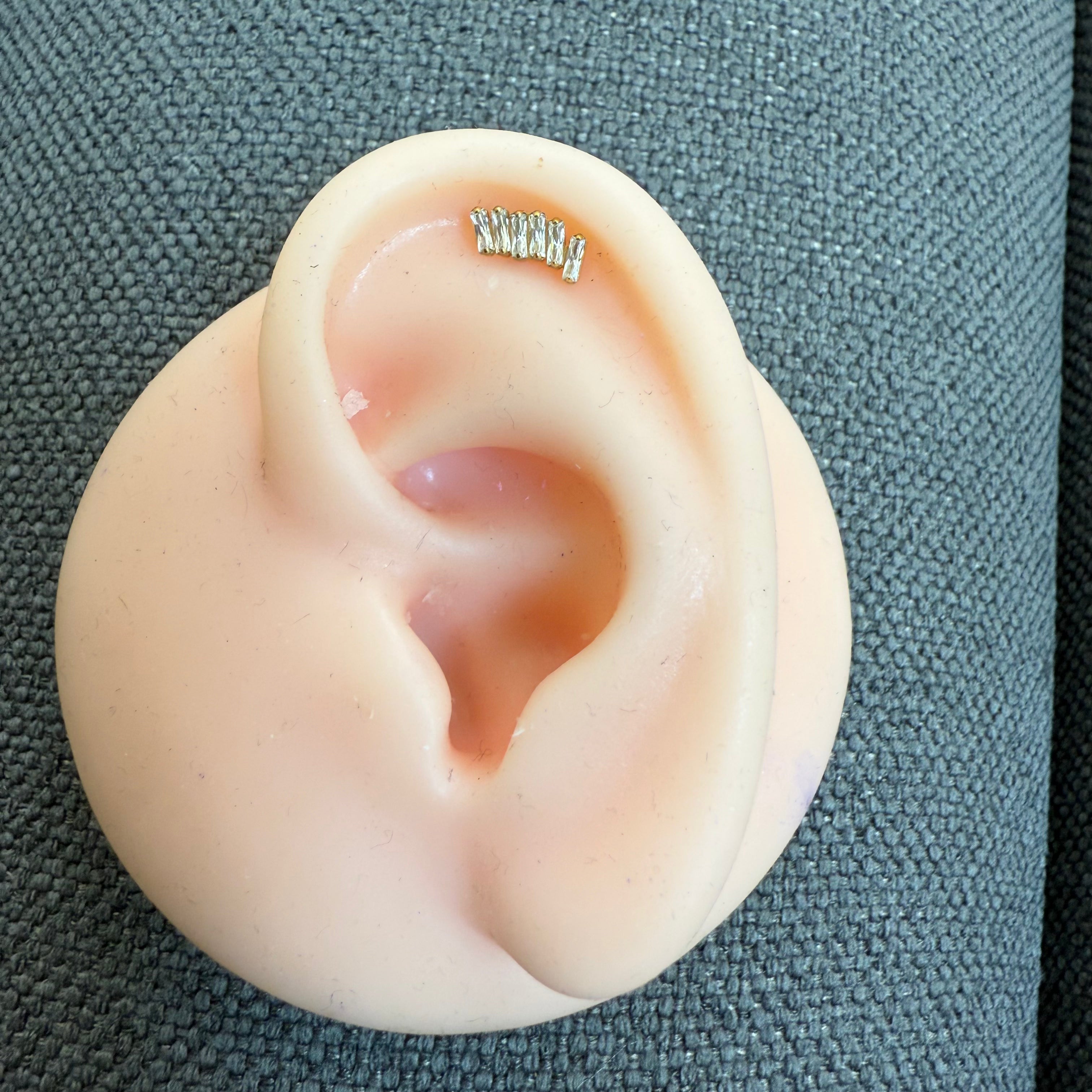 Titanium Earring 776