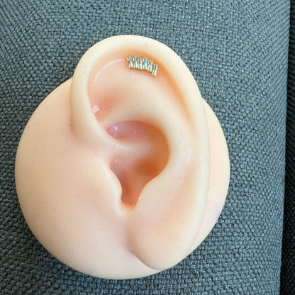 Titanium Earring 776