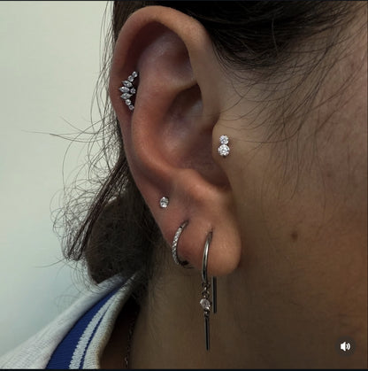 Titanium Earring 108