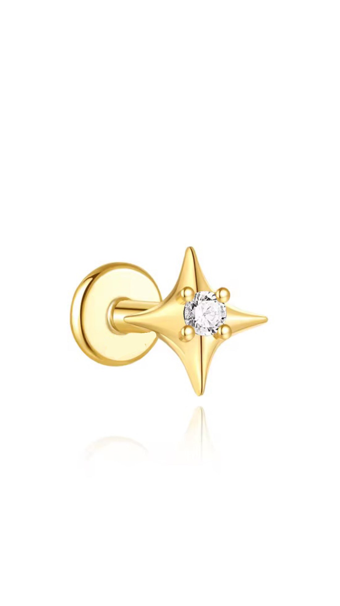 Titanium Earring 766