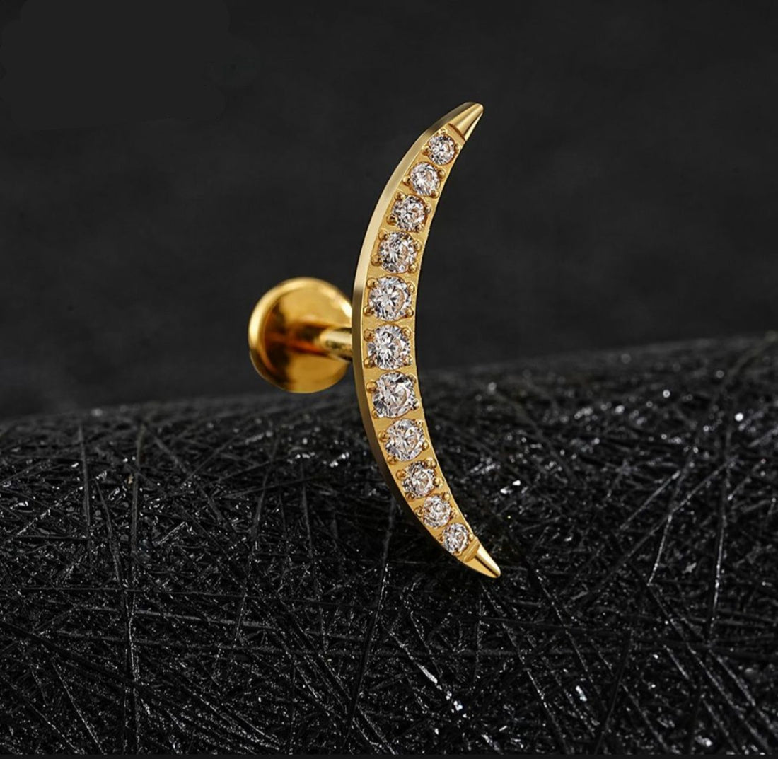 Titanium Earring 141