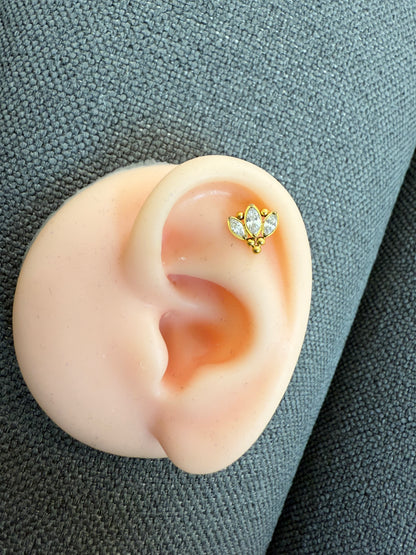 Titanium Earring 769