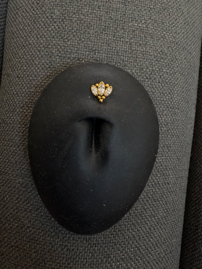 Titanium Dermal-Surface Top 25