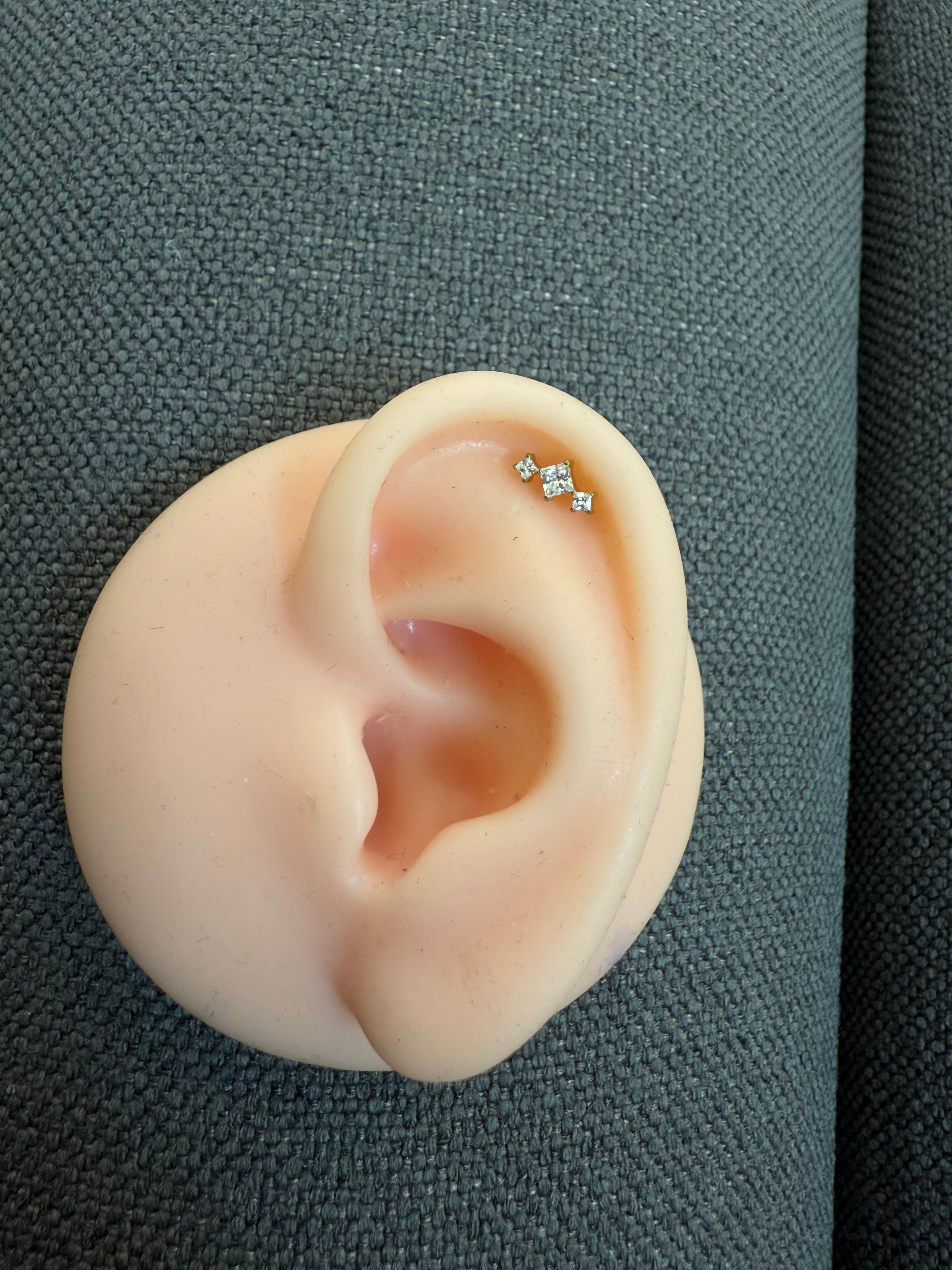 Titanium Earring 768