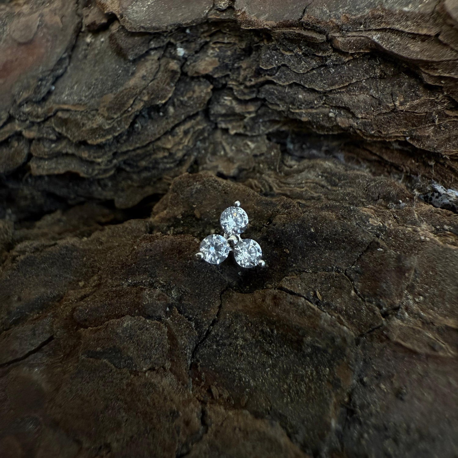 White Gold Tiny Celestial Clover Dermal Top