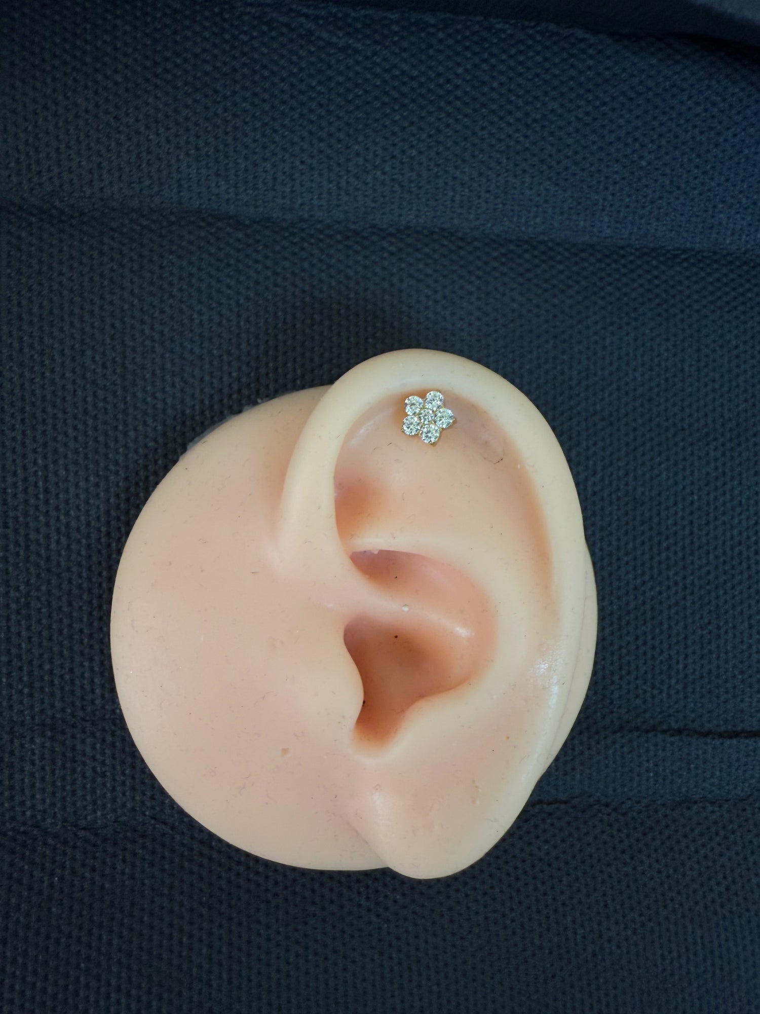 Titanium Earring 187