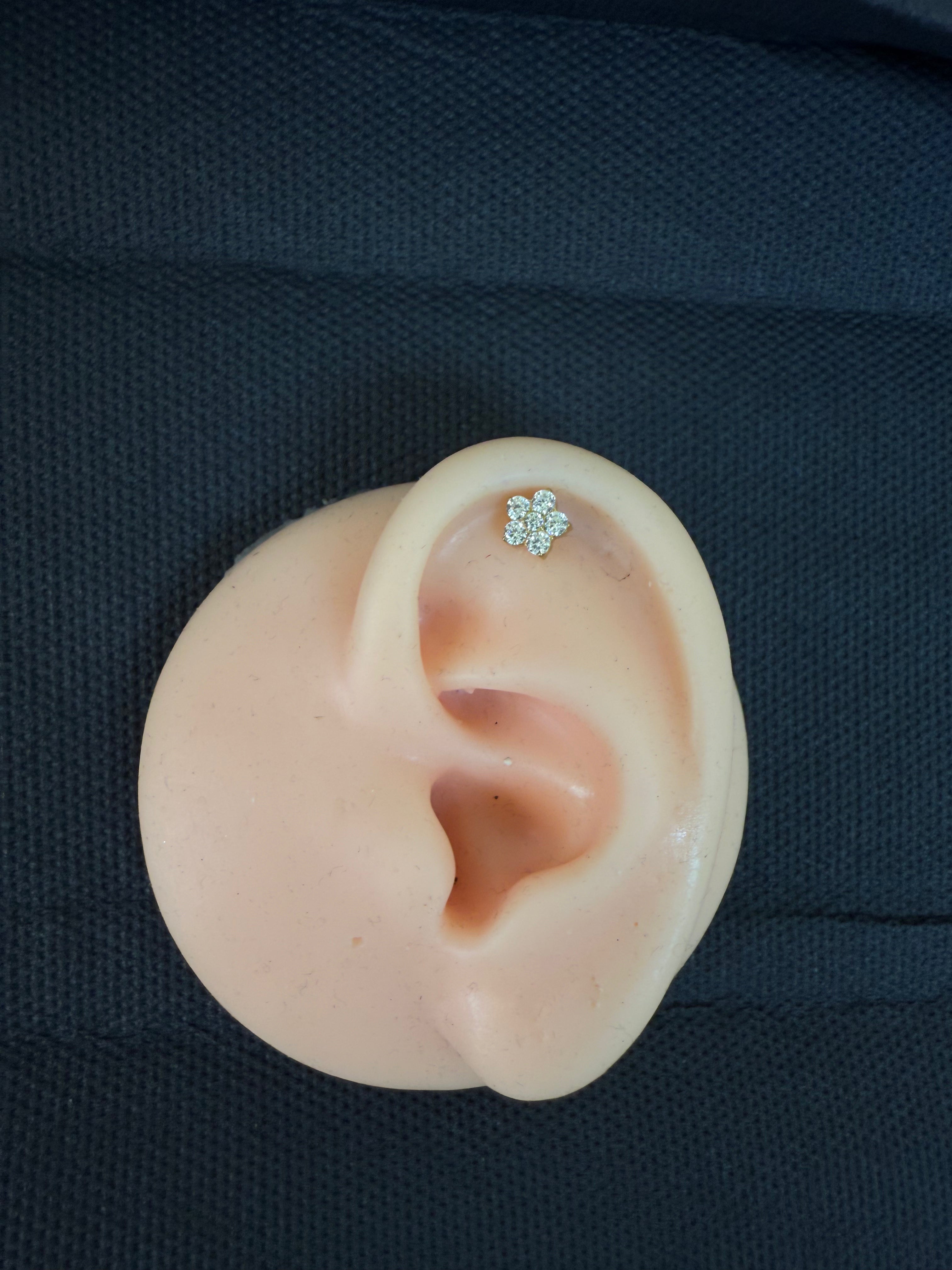 Titanium Earring 187