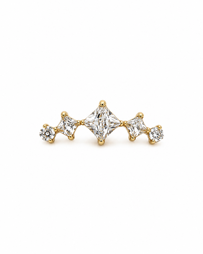 Titanium Earring 350