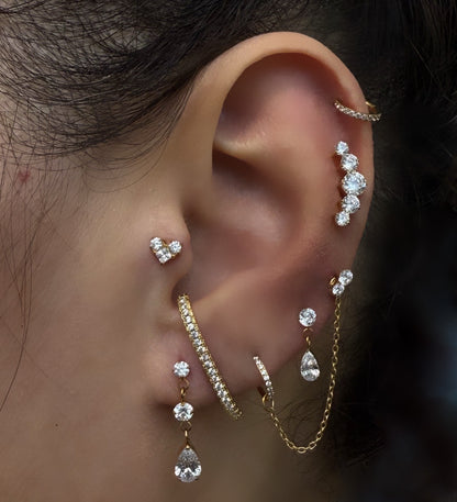 Titanium Earring 791