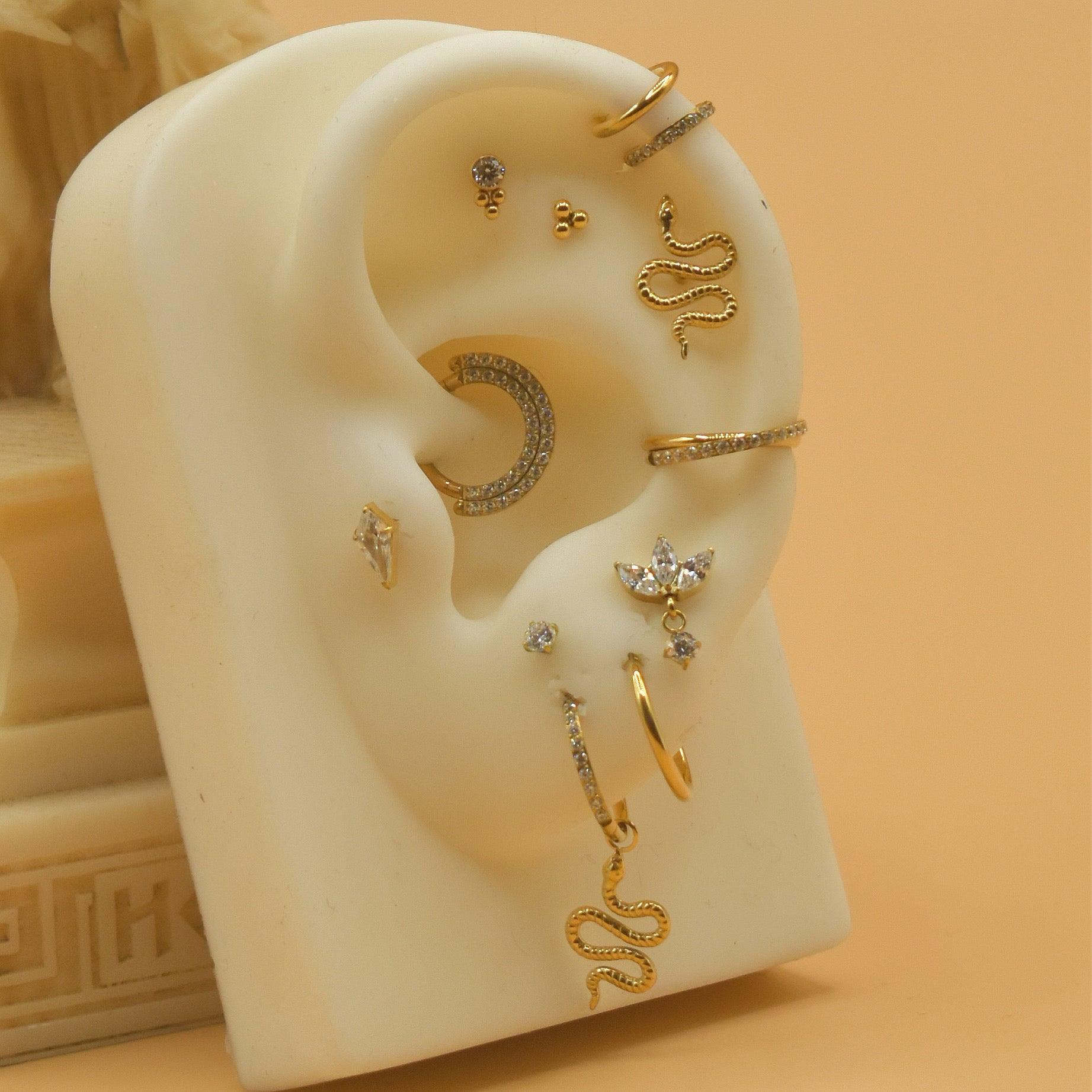 Titanium Earring 771