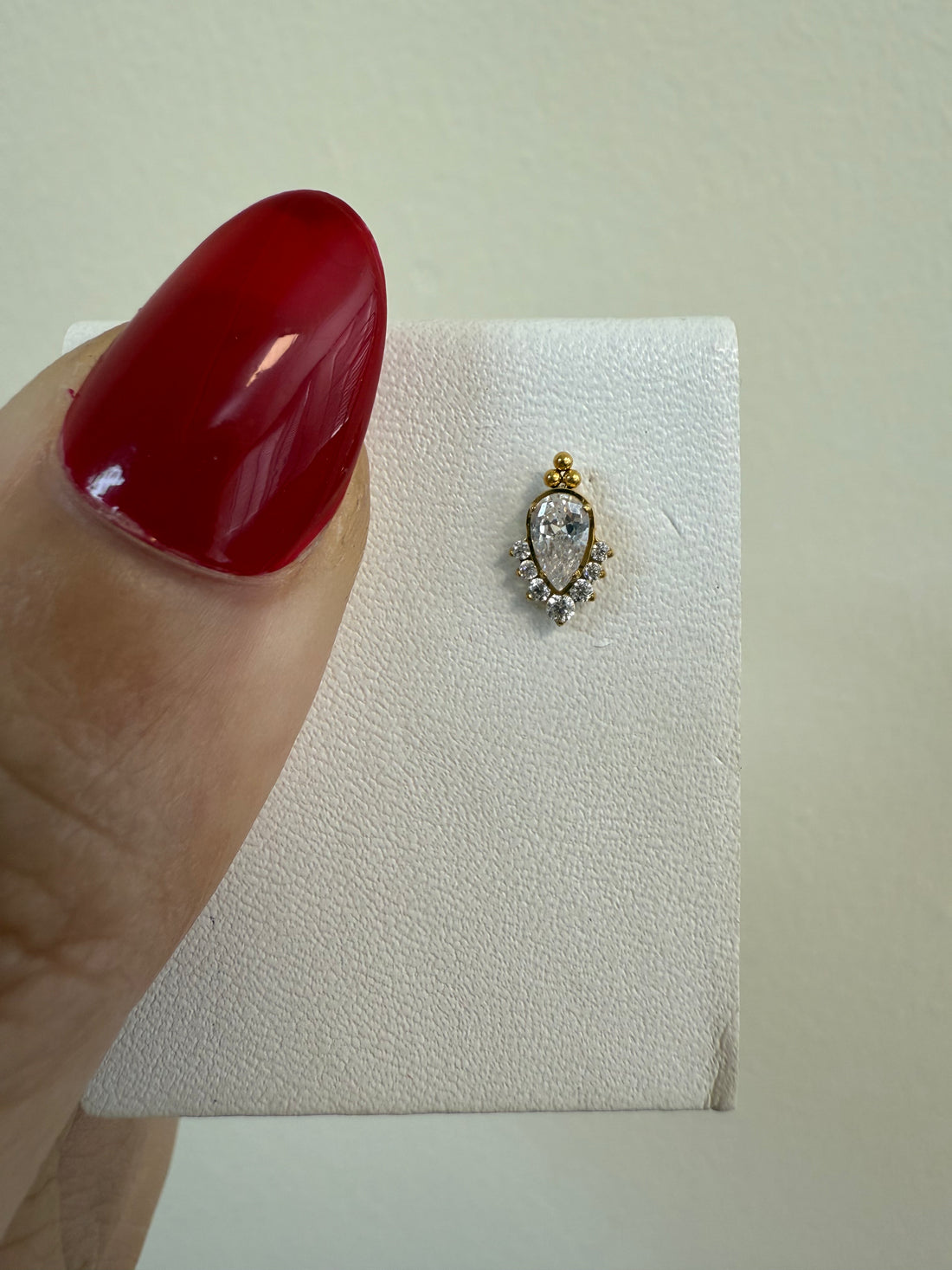 Titanium Earring 794