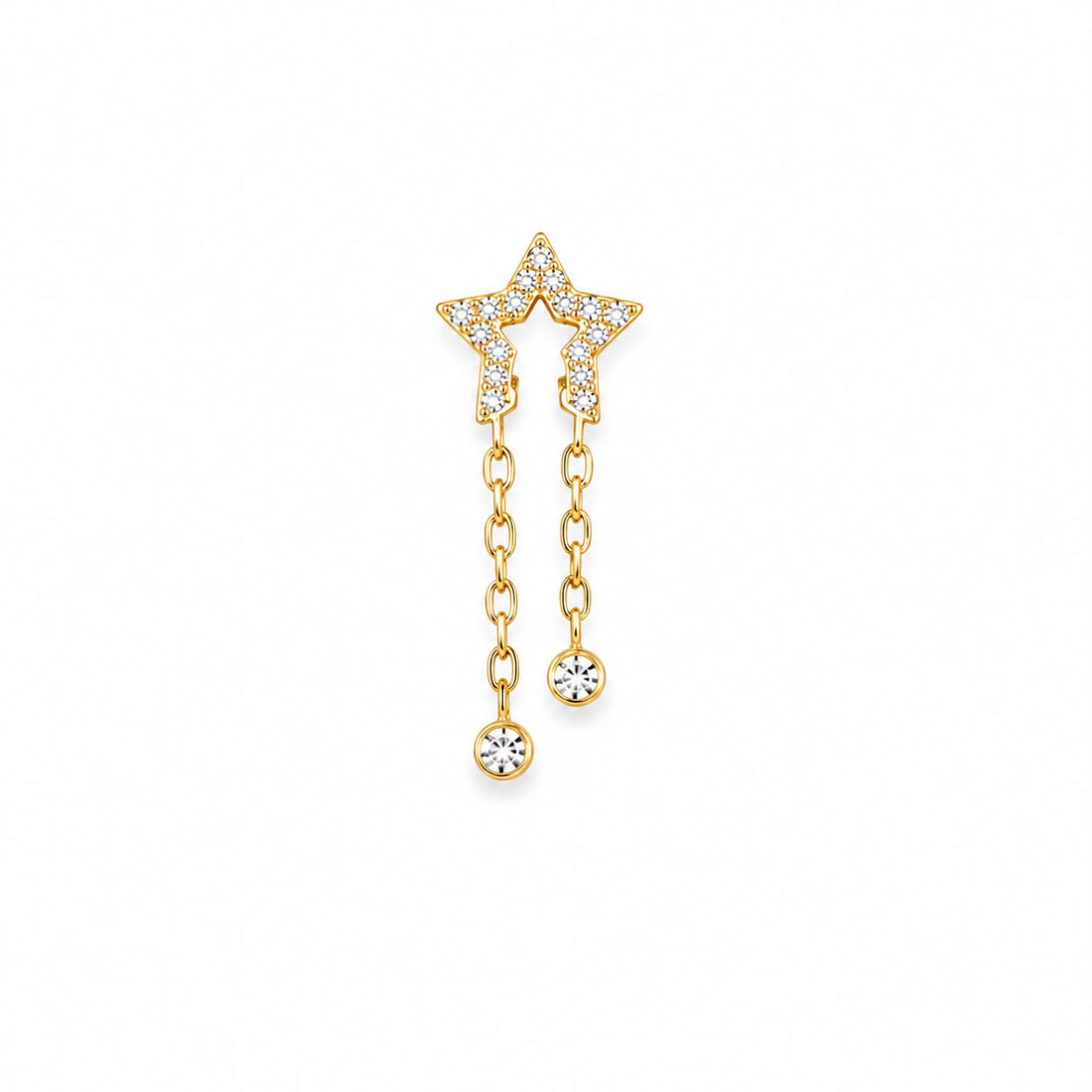 Titanium Earring 829