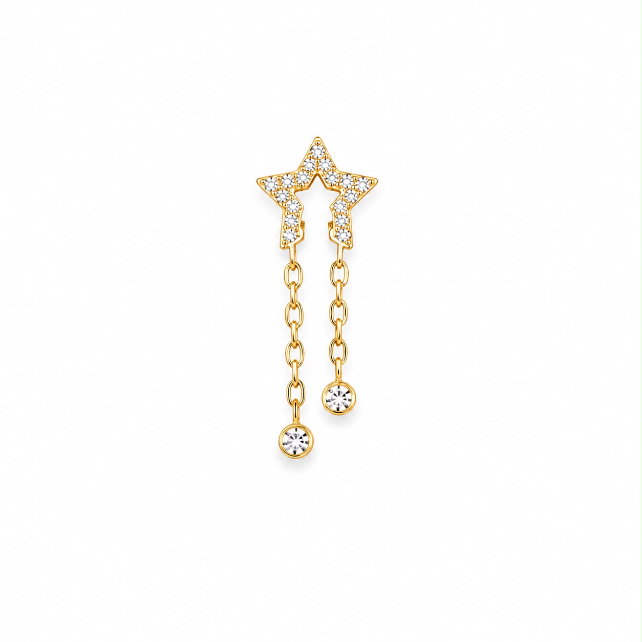 Titanium Earring 829