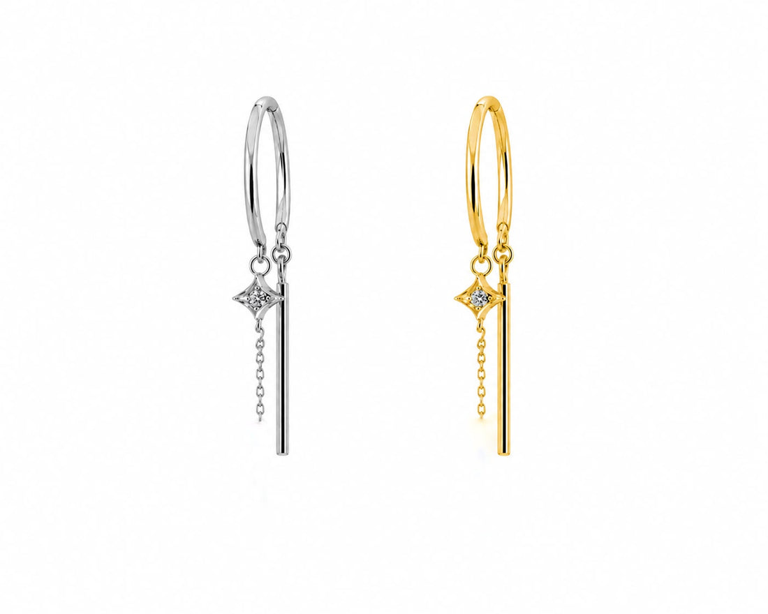 Titanium Earring 841