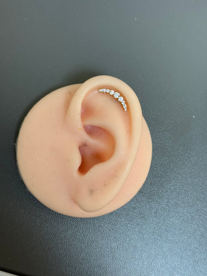 Titanium Earring 48