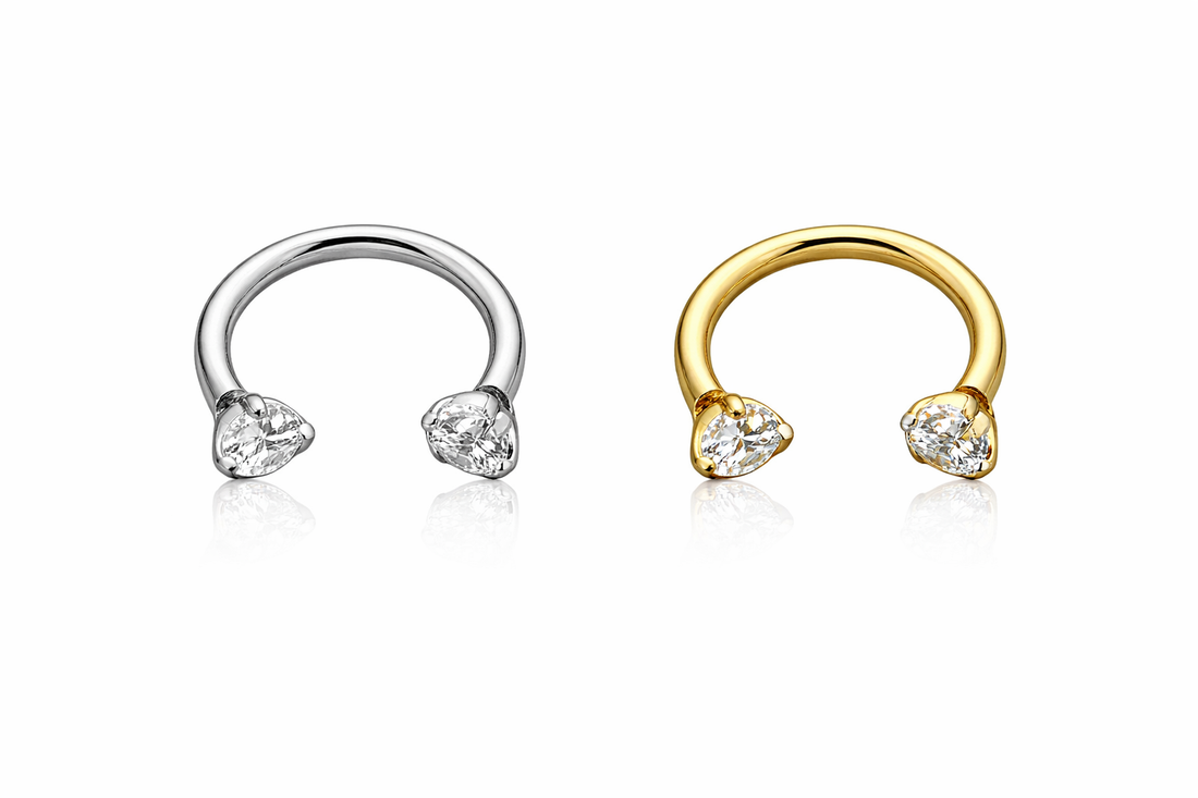 Titanium Horseshoe Bling