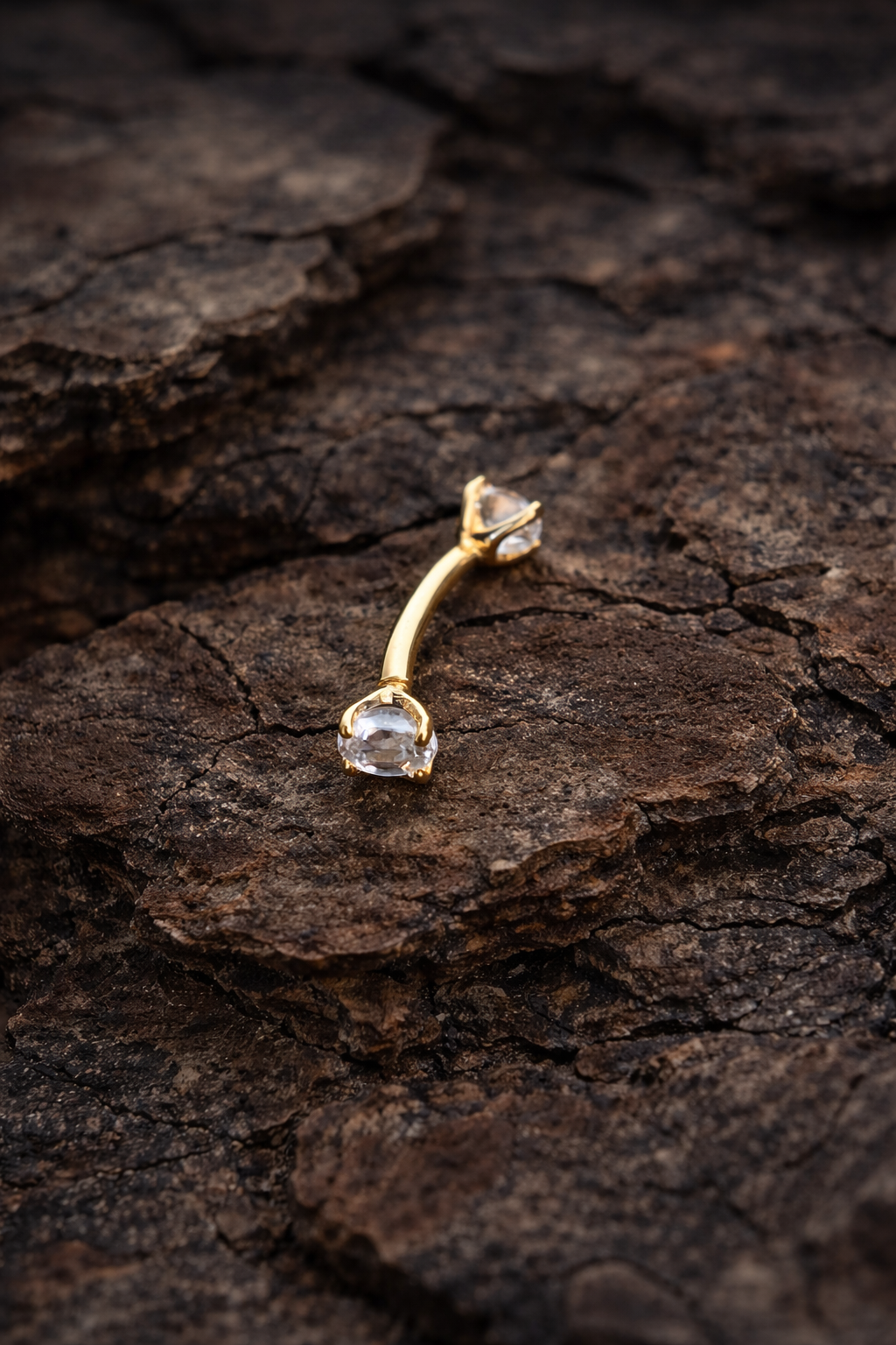 Gold Large Barbell Earring
