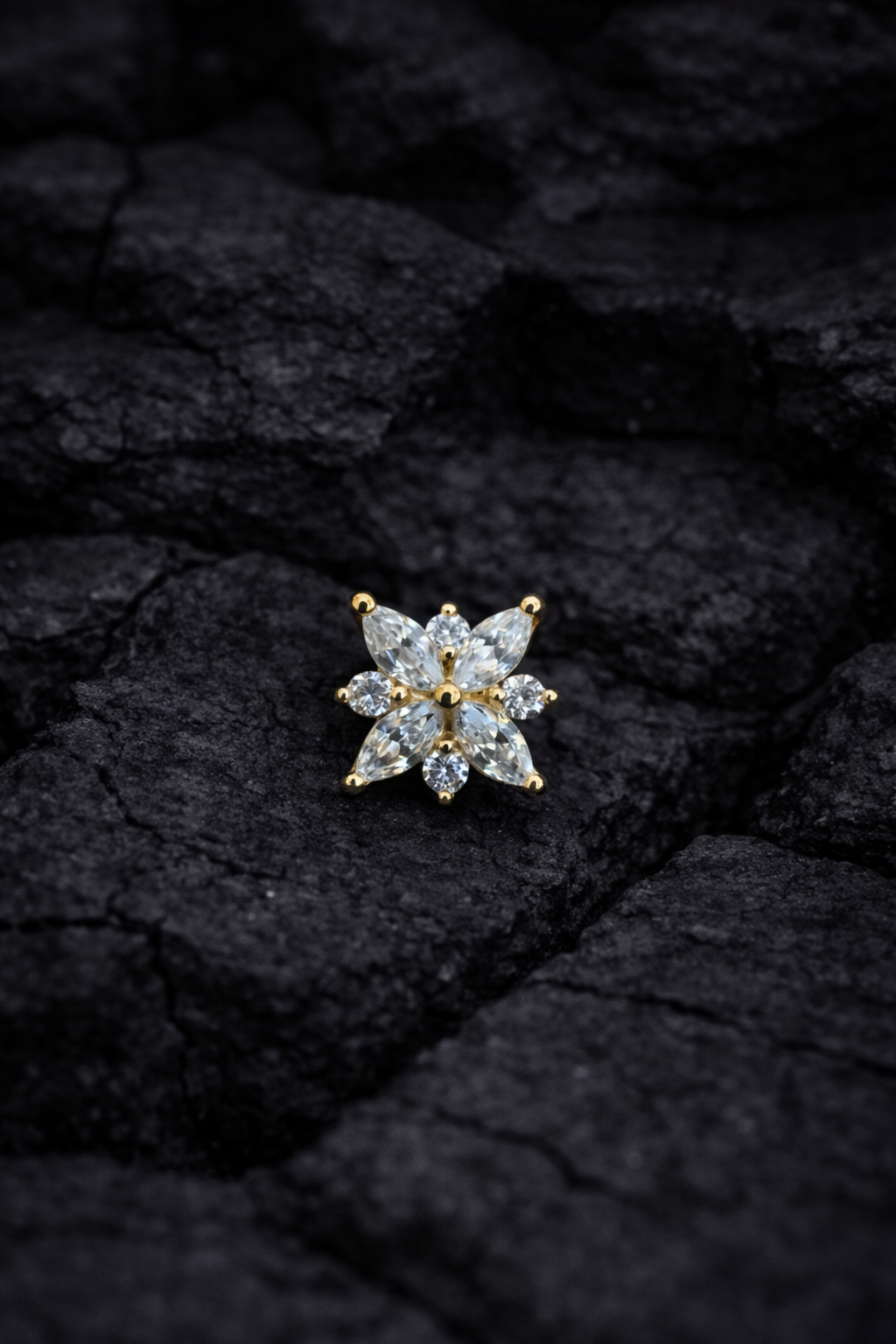 Gold Stellata Cluster Dermal Top