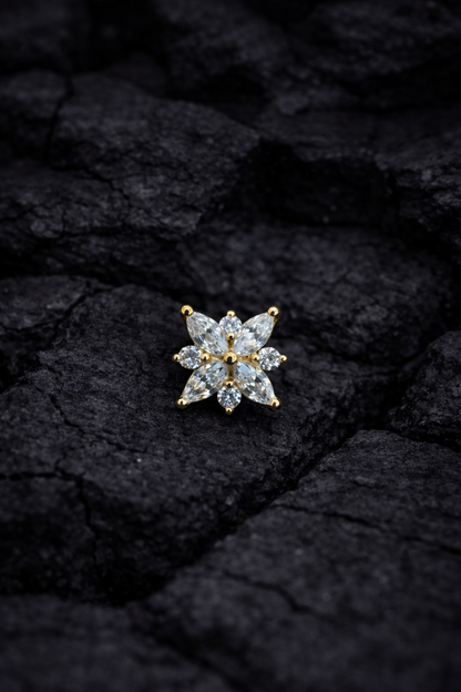 Gold Stellata Cluster Dermal Top