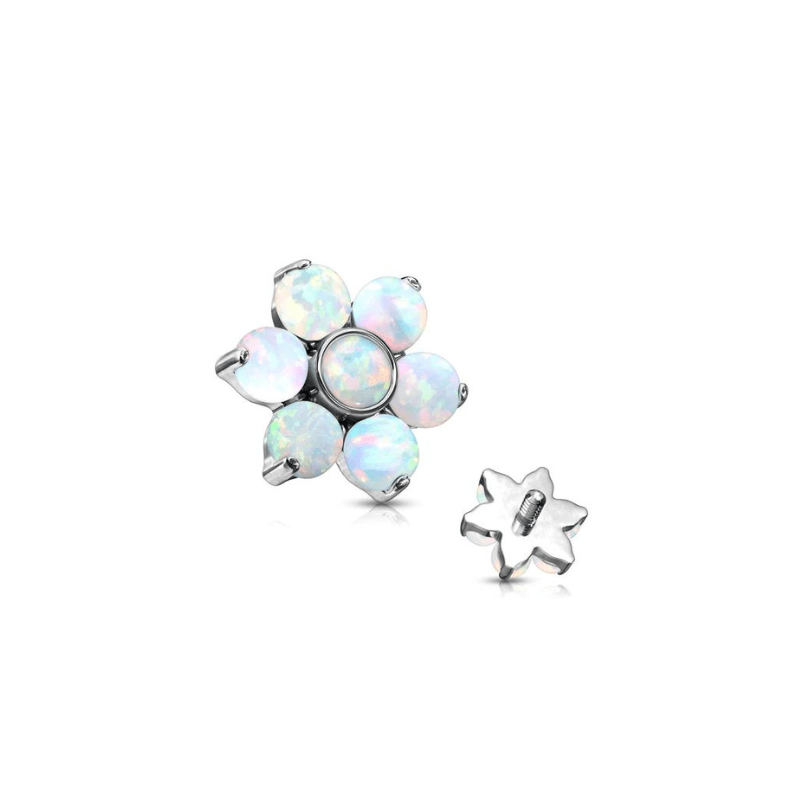 Titanium Dermal-Surface Top 3