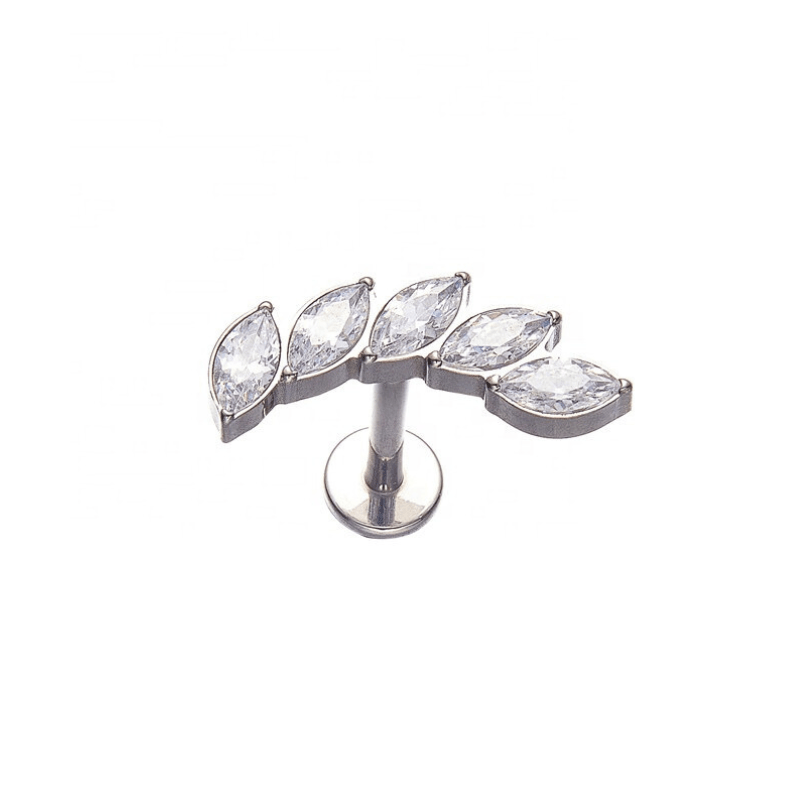 Titanium Earring 161