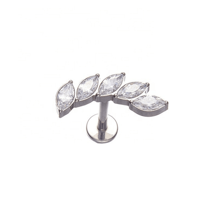 Titanium Earring 161