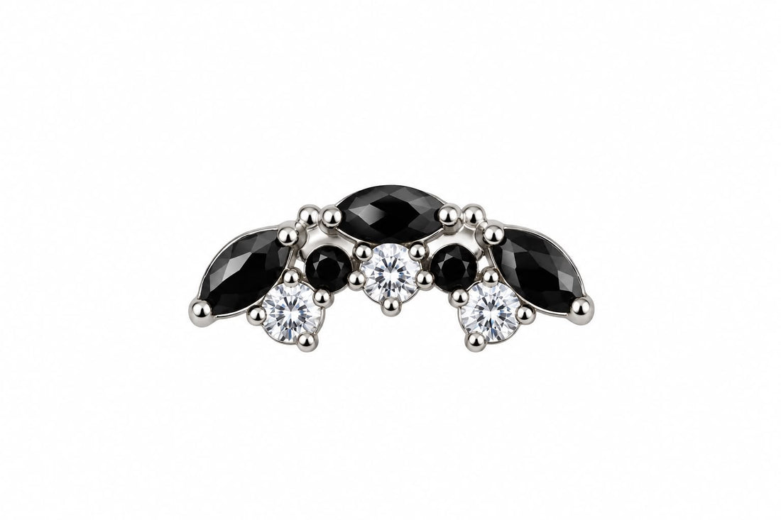Titanium Onyx Nova Curve Earring