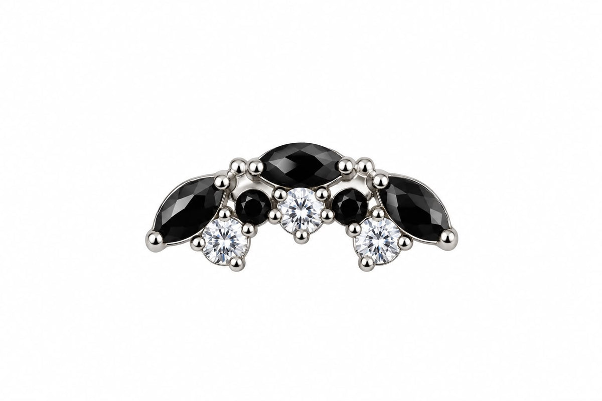 Titanium Onyx Nova Curve Earring