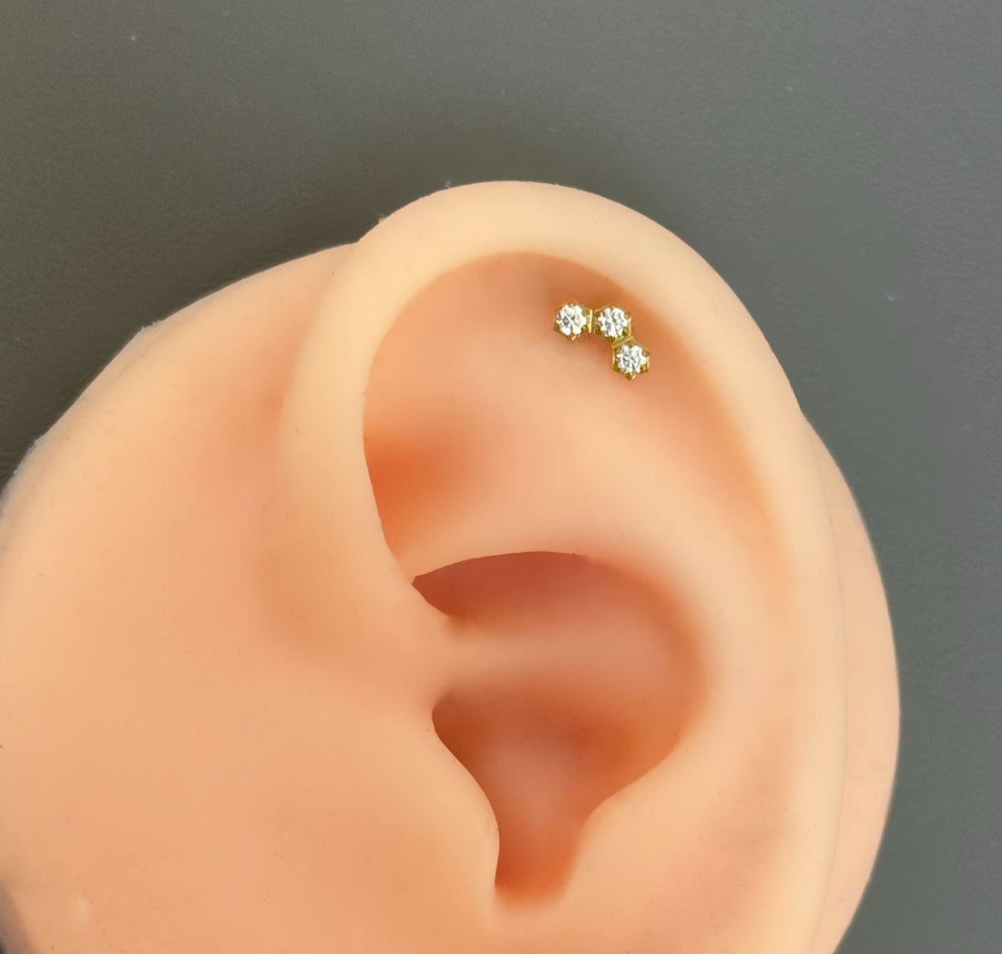 Titanium Earring 803