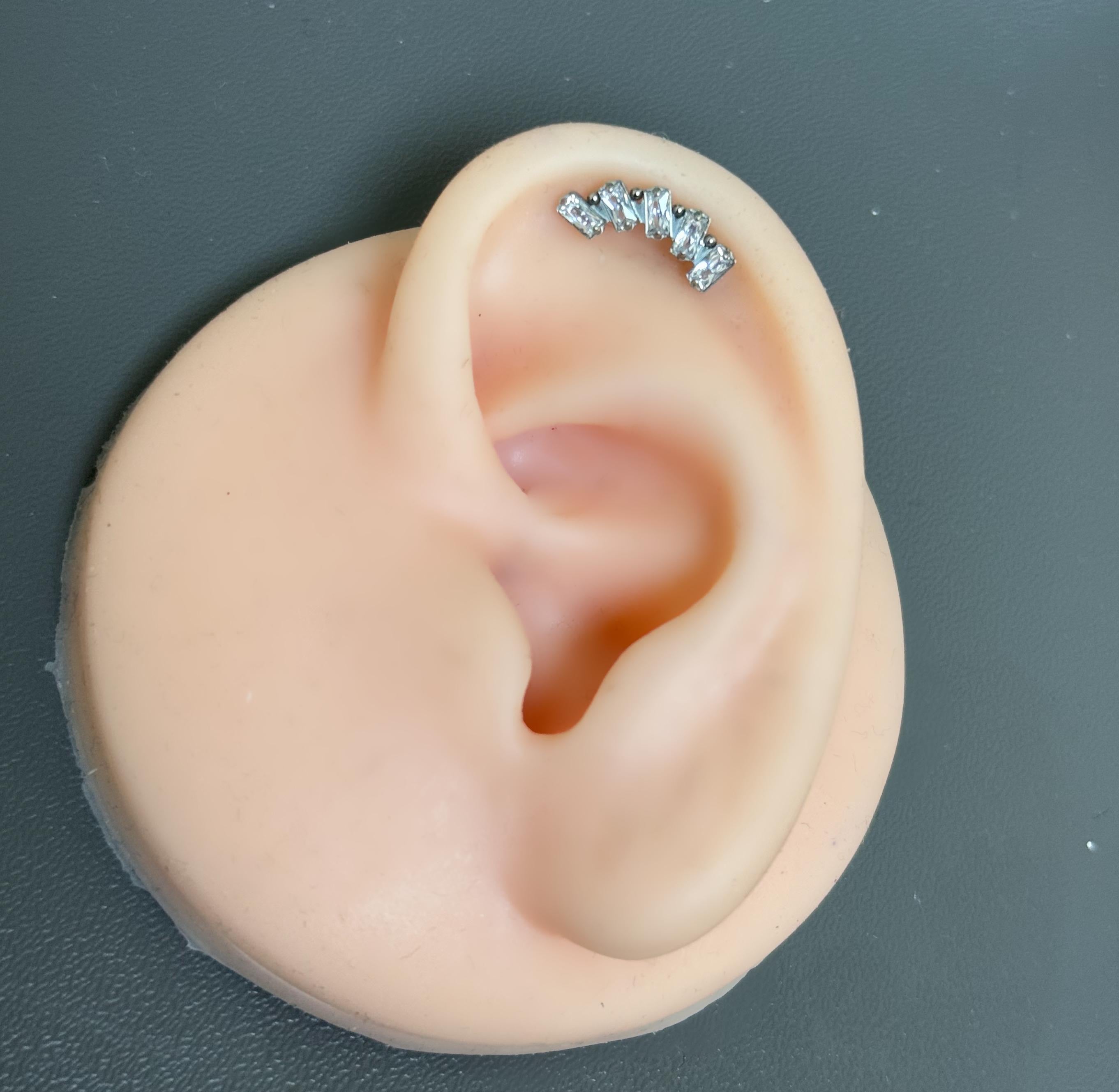 Titanium Earring 797