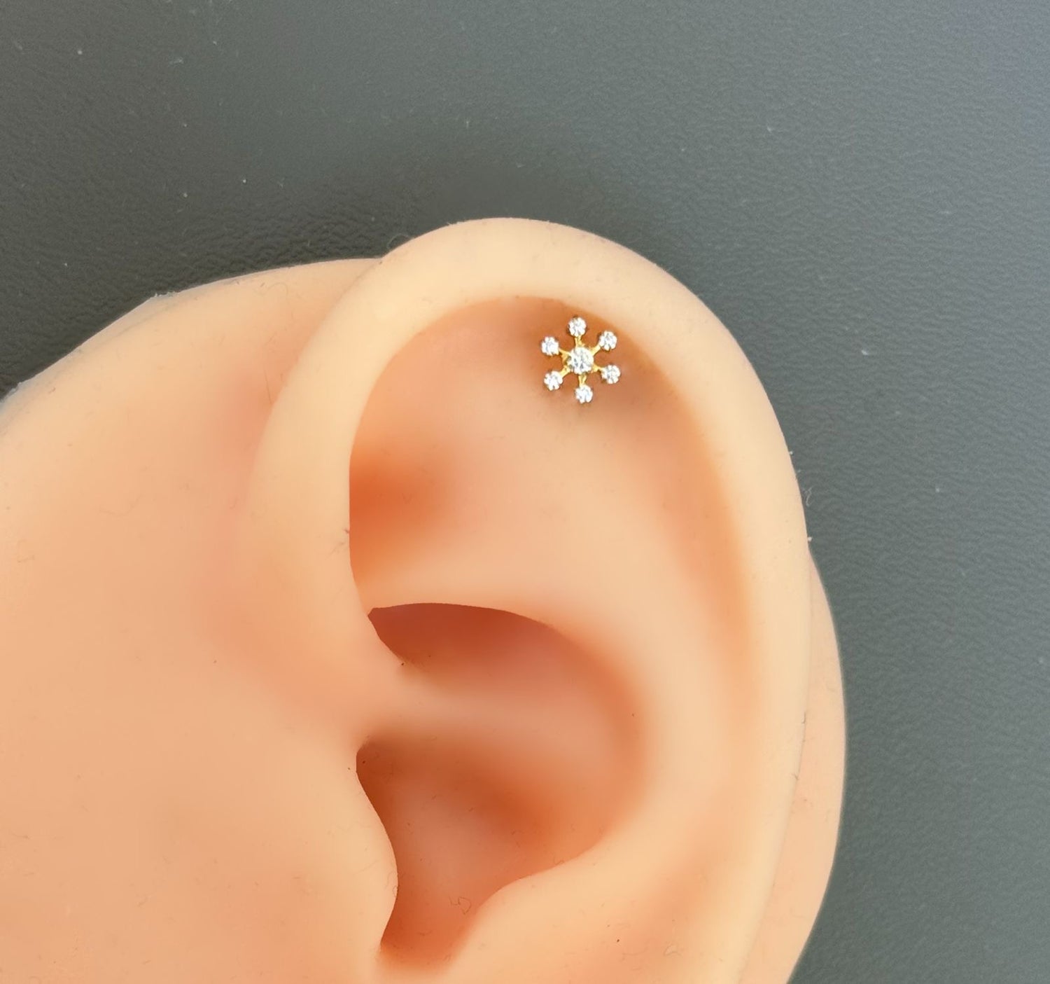 Titanium Earring 801