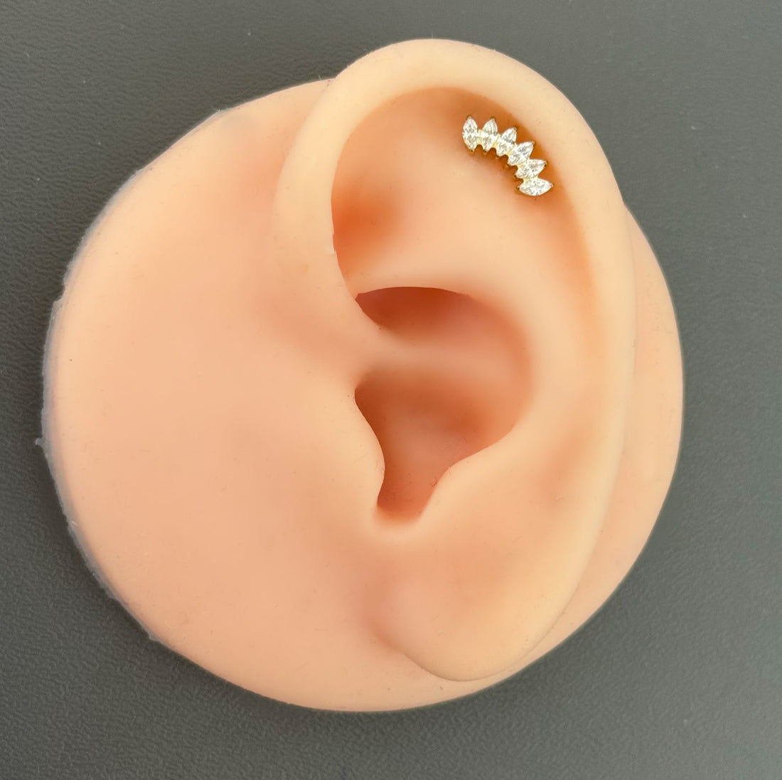 Titanium Earring 798