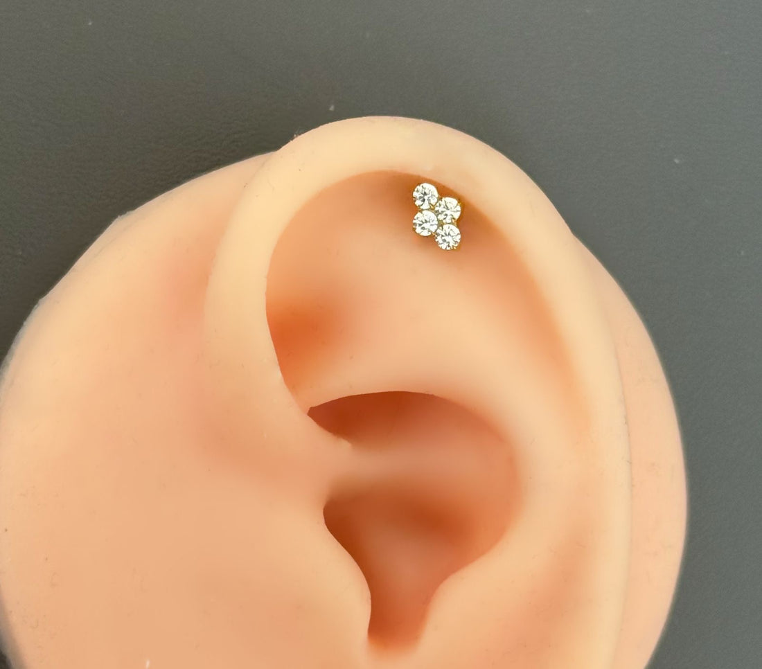 Titanium Earring 808