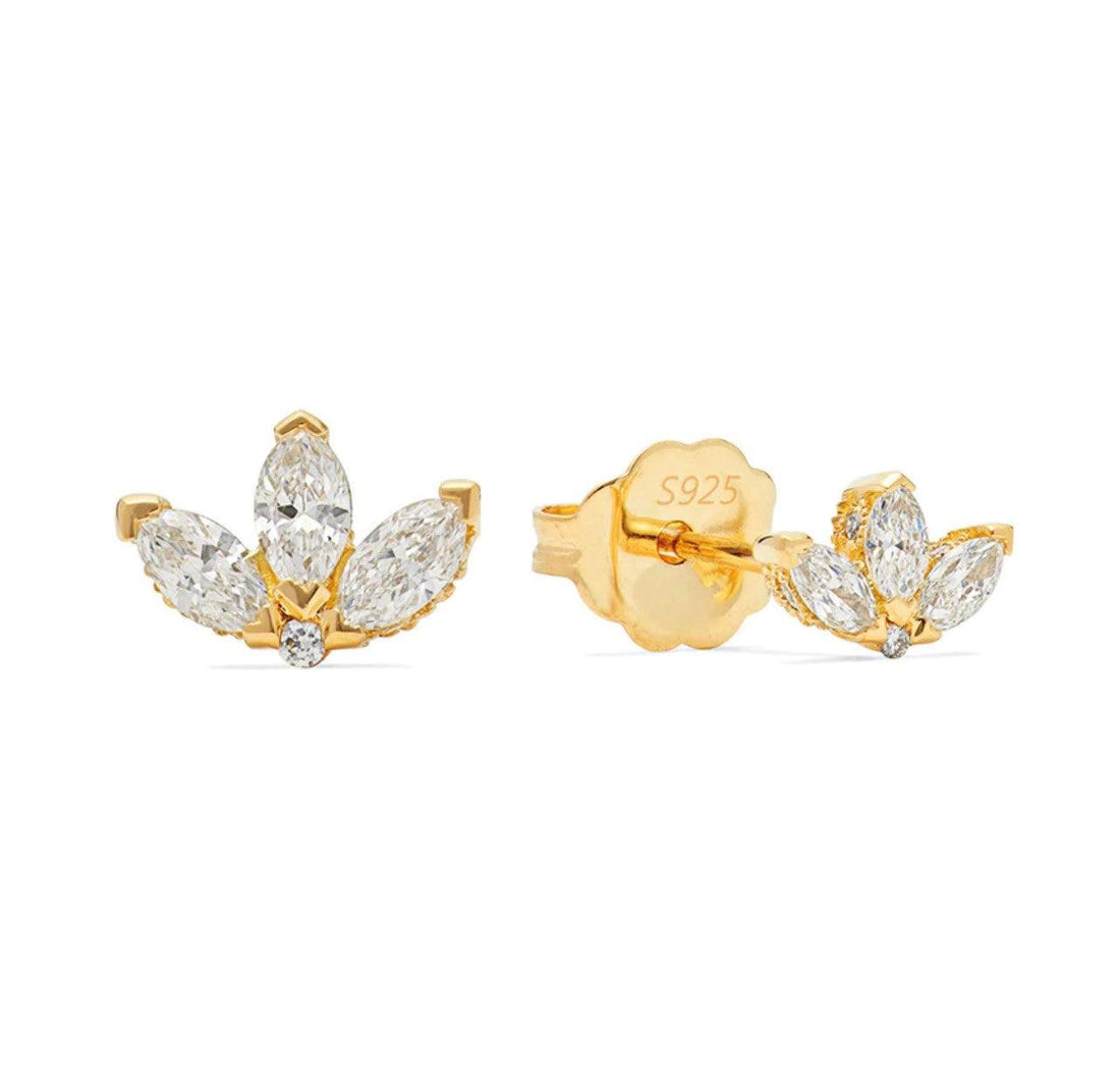 Lotus Pair
