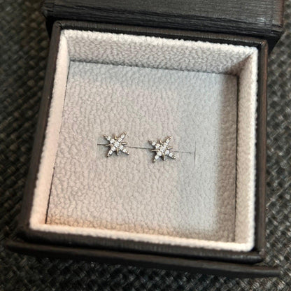 Shining Star Earring