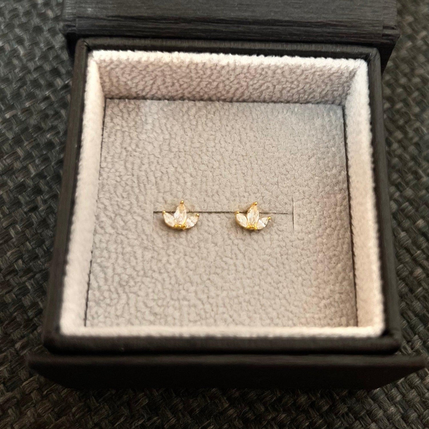 Lotus Pair