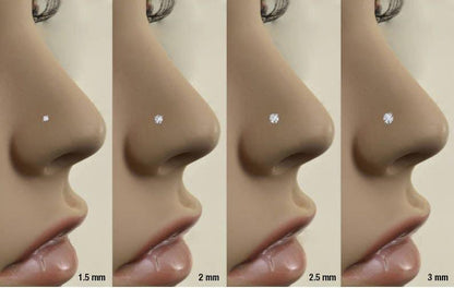 Titanium Nose Ring 6